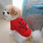 Buy Red A House is Not Home Without A Dog Summer Dog T-Shirt in Uganda on Petsasa pet store kenya for small, medium and large dogs