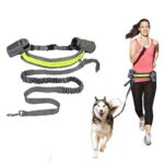 Buy Hands-Free Running Dog Leash, Elastic, Reflective in Uganda on Petsasa