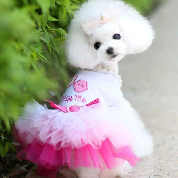 Best Cute Dog Clothes Kiss Me Lace Dog Dress, For Cats & Dogs Puppy Dress in Uganda On Petsasa