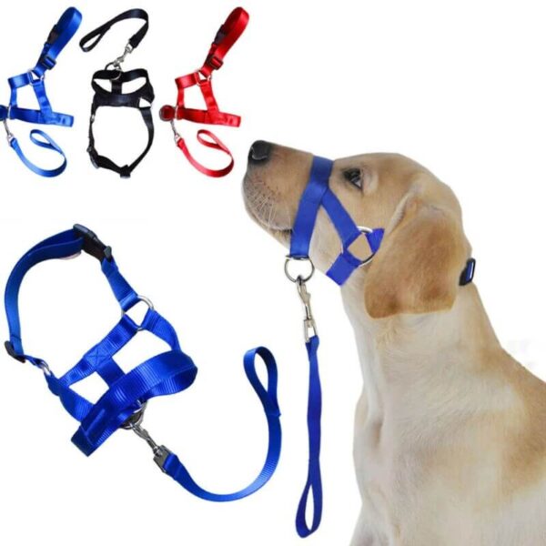 The Best Halti Style Dog Head Collar & Leash Gentle Halter Lead For Dog Training in Uganda