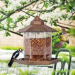 Top Garden Panorama Hanging Bird Feeder Online in Uganda Pet Store Karen