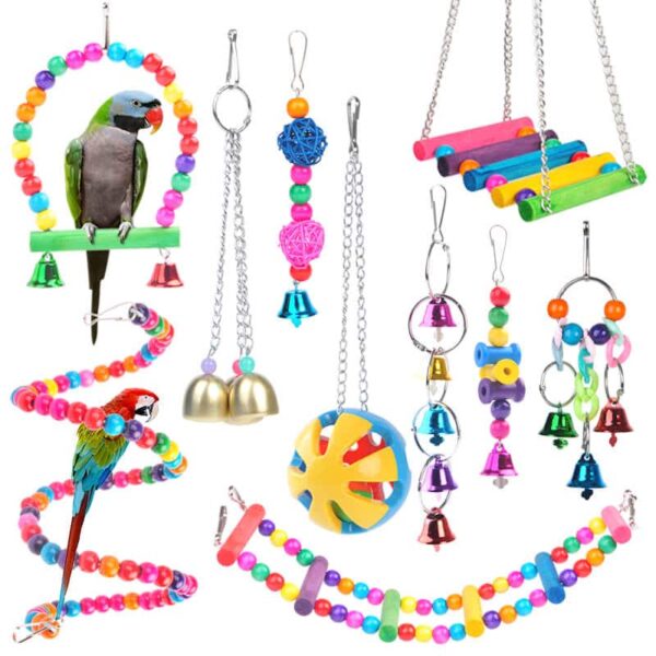 Buy Best Colourful Parrot Bird Perches, Swings and Toys Set in Uganda Petsasa Pet House
