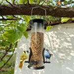 Best Hanging Wild Bird Seed Feeder Petsasa Kampala Uganda