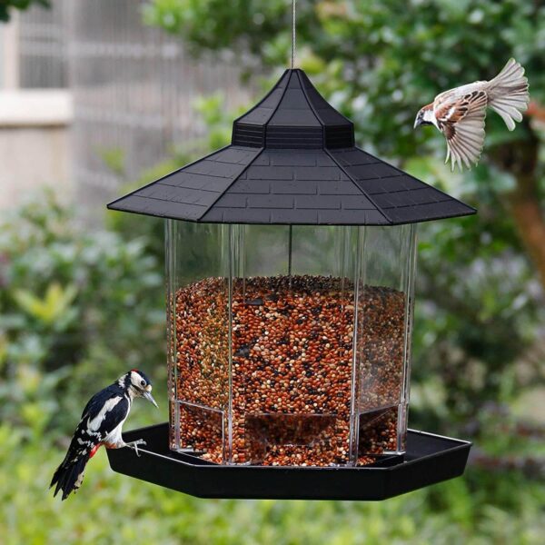 Buy the Best Garden Panorama Hanging Bird Feeder in Uganda on Petsasa Pet Shop Near Me