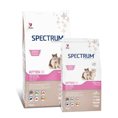 Ultra Premium Spectrum 38 Kitten Food Pet Store Uganda