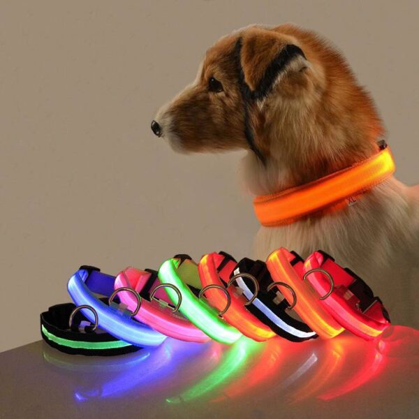 Karen Pet Store Glow In The Dark LED Dog Collar For Night Safety Uganda