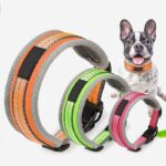 Best Petsasa Padded Sports Dog Collar, Adjustable, Back Clip For Outdoors and Training in Kampala Uganda