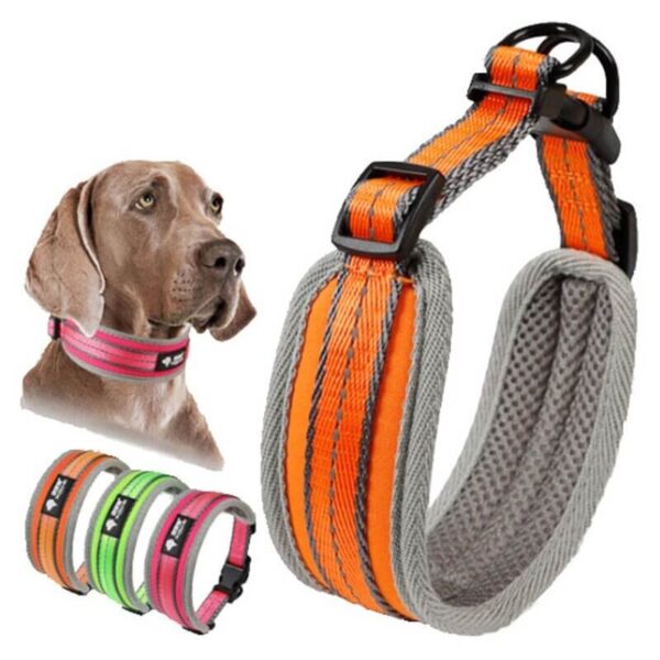 Petsasa Padded Sports Dog Collar, Adjustable, Back Clip Kampala Uganda