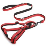 Small, Medium and Large Classic Reflective Back Clip Dog Harness & Dog Leash in Uganda