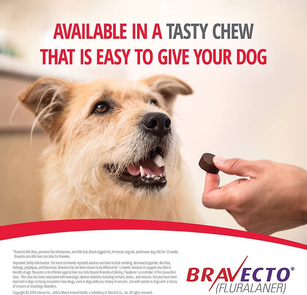 Soft Chews Bravecto for Small Dogs in Kampala Uganda on Petsasa