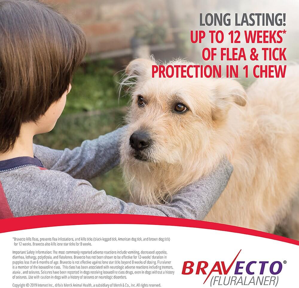 Long lasting flea and tick solution Bravecto for Small Dogs in Uganda
