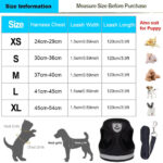 Size Chart Fitting Step-In Soft Vest Cat Harness + Leash at Petsasa Uganda in Kampala