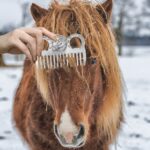 Mane & Tail Grooming Aluminum Alloy Horse Comb Petsasa Kampala Uganda