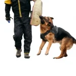 Buy Professional Dog Training Bite Sleeve at Petsasa Uganda in Kampala