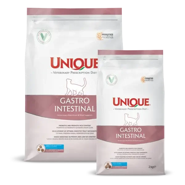 Veterinary Unique Prescription Diet Gastro Intestinal Care Dry Cat Food, with Salmon & Anchovy in Uganda