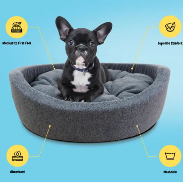 Best Beautiful Superfoam Fluffy Paw Dog Bed for Small and Medium Dogs in Uganda