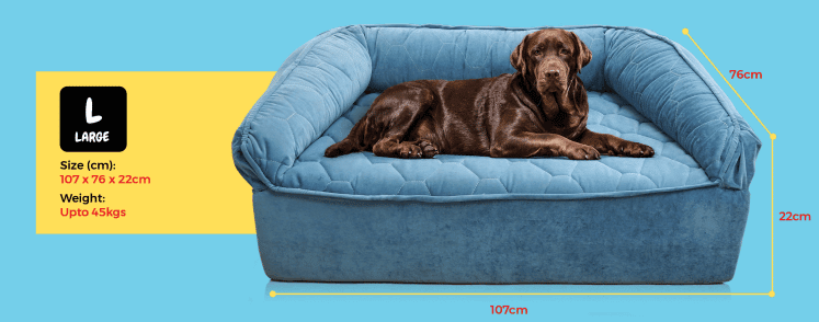 Superfoam Royal Pet Dog Sofa Bed for large and giant dogs in Uganda