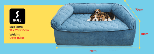 Superfoam Royal Pet Dog Sofa Bed for small dogs in Uganda