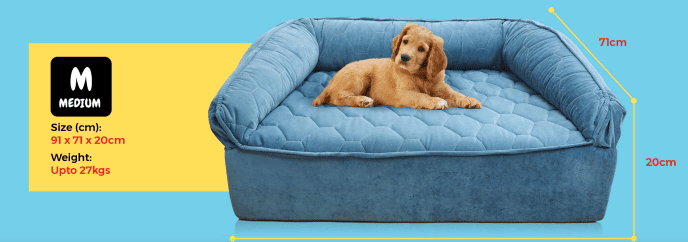 Superfoam Royal Pet Dog Sofa Bed for small medium and large dogs in Uganda