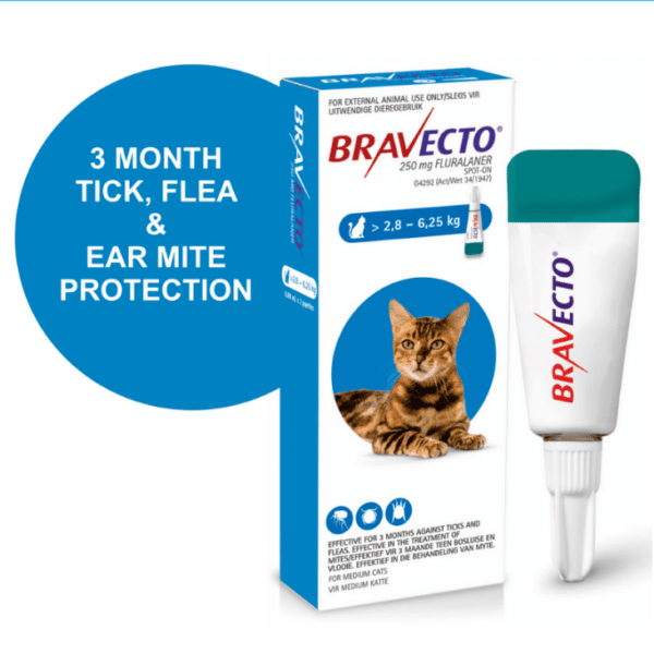 bravecto spot on tropical flea tick solution medium cats Petstore Uganda
